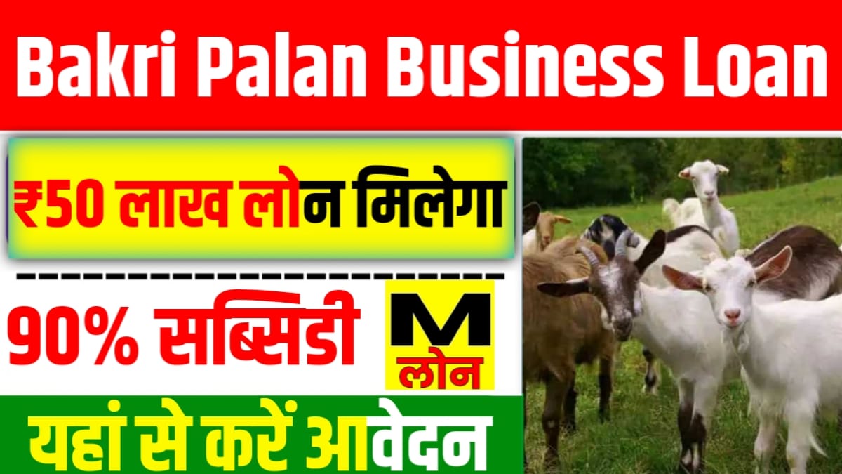 Bakri Palan Business Loan