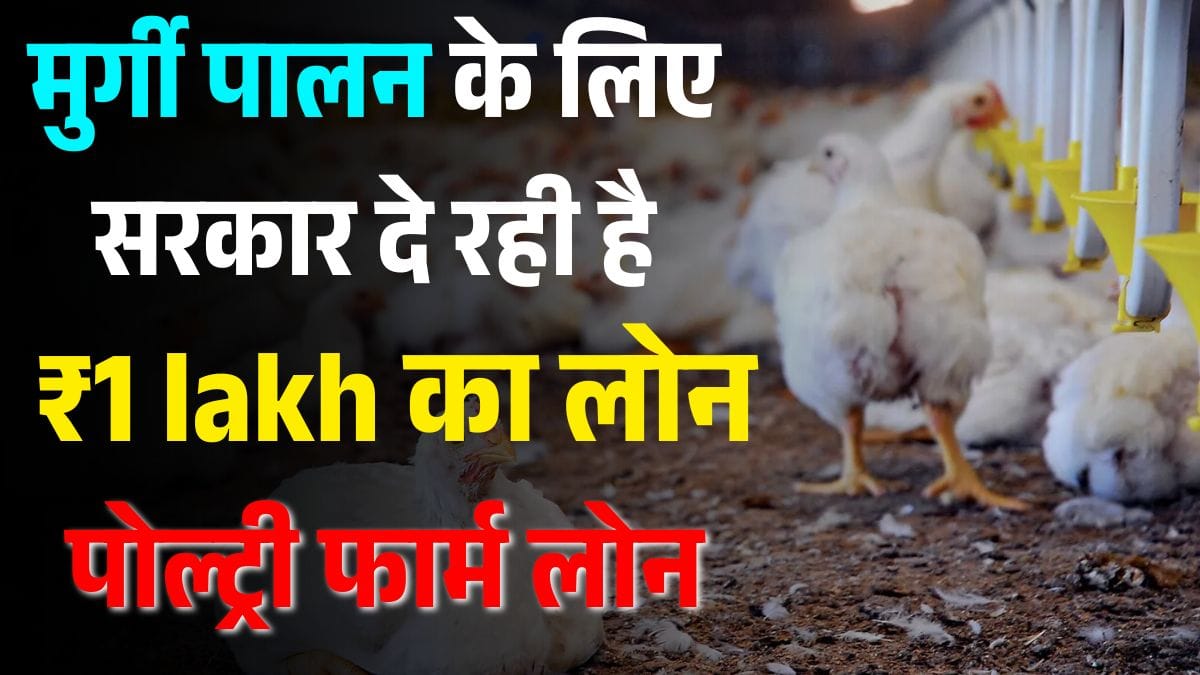 पोल्ट्री फार्म लोन