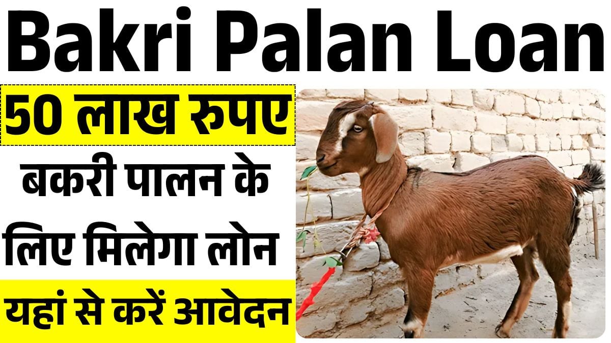 बकरी पालन के लिए मिलेगा 50 लाख रुपए तक का लोन